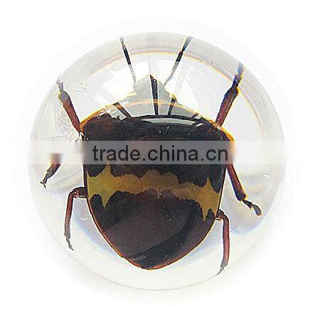 6.0 cm real resin acrylic marble ball with bugs