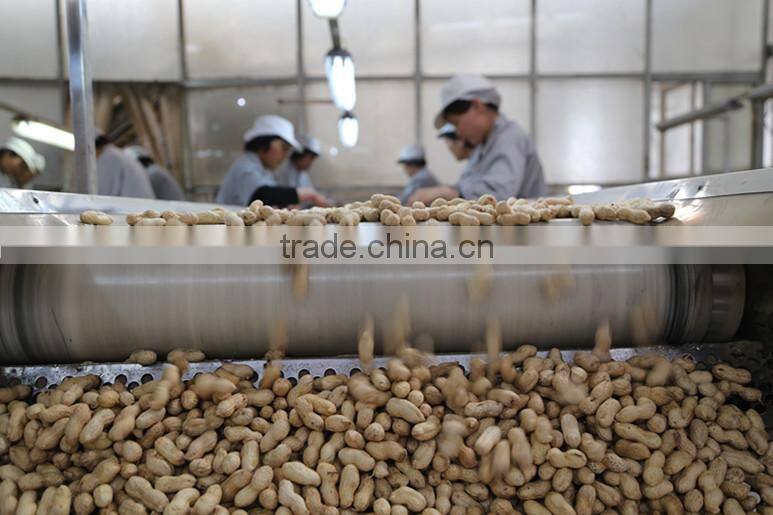 best selling products nutritional value of peanut wholesale peanuts price