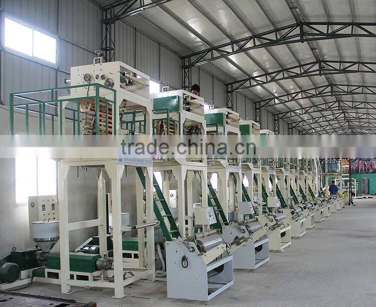 linear low density polyethylene film/blown plastics