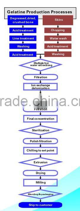 Professional animal gelatin glue with high quality