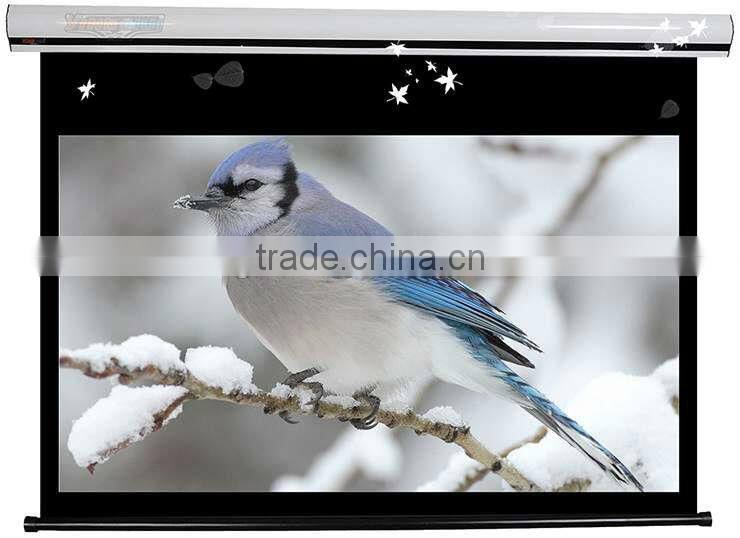 wall mount electric projector screen/projection screen