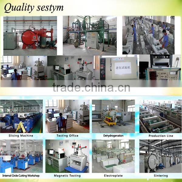 wind turbine rotor magnet