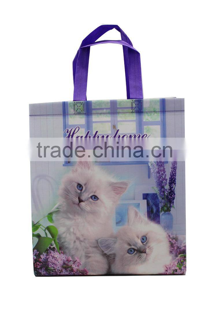 Cheap Reusable Non Woven Cloth Shopping Bag Garment Bag Wholesale