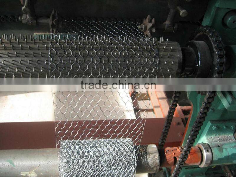 1" Galvanized Hexagonal Chicken Wire Mesh(factory)