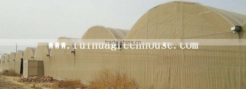 Insect Net house Net greenhouse