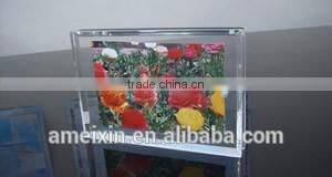 Plastic vacuum formed photo frame