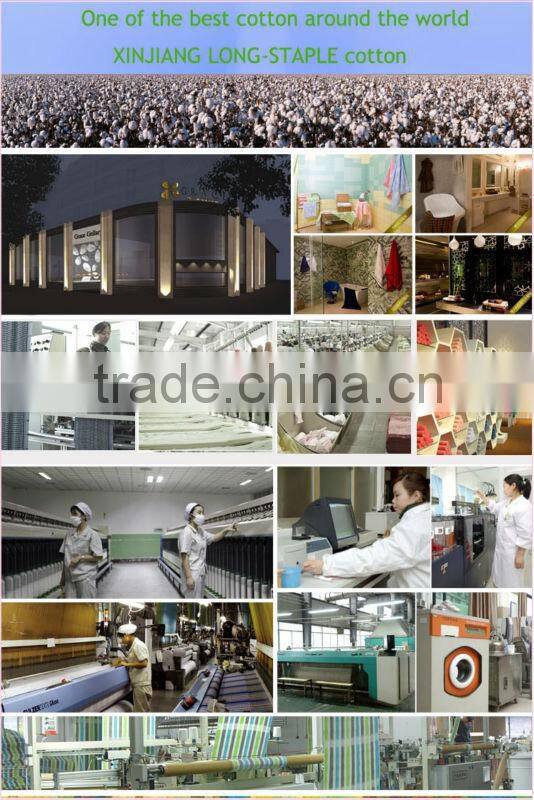 Strong detergency and No Hair Removal car towel