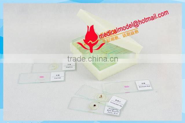 Microslide Microscope Glass Slide