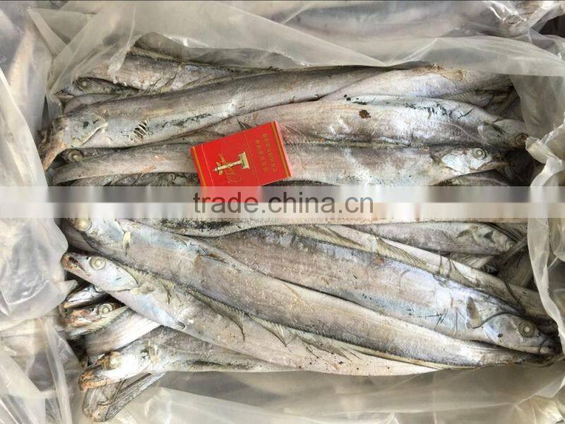 Good quality of Frozen Ribbon Fish 120-300g