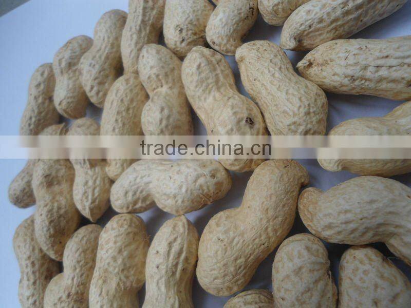 2015 crop round shape peanut kernels BAISHA