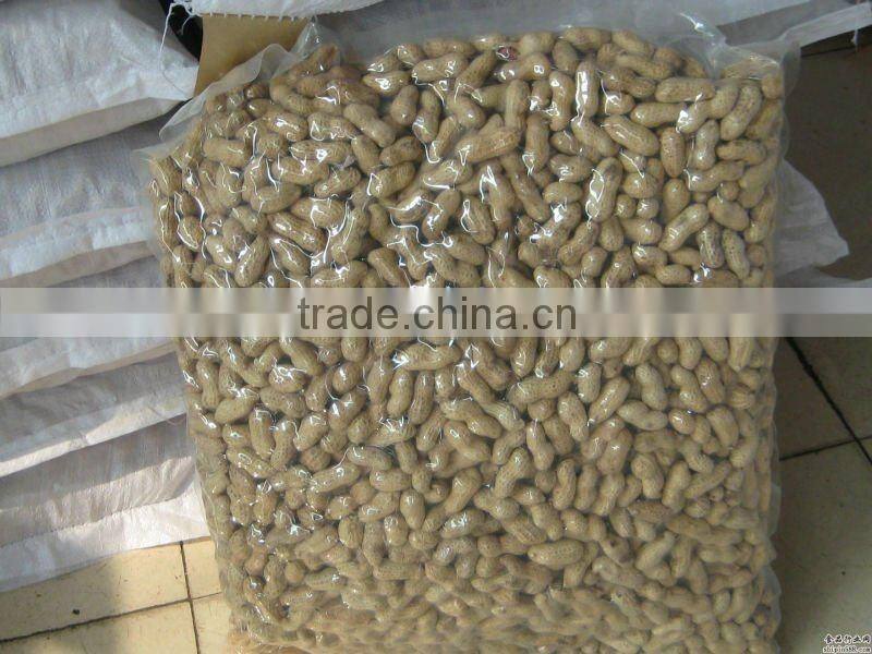 Washed Peanut in Shells 2012 crop