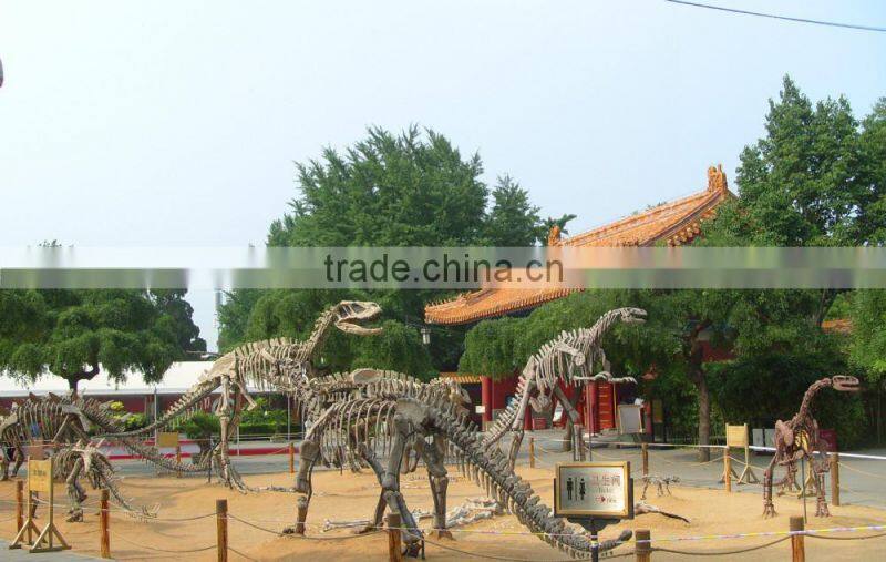 Walking Dinosaur Skeleton