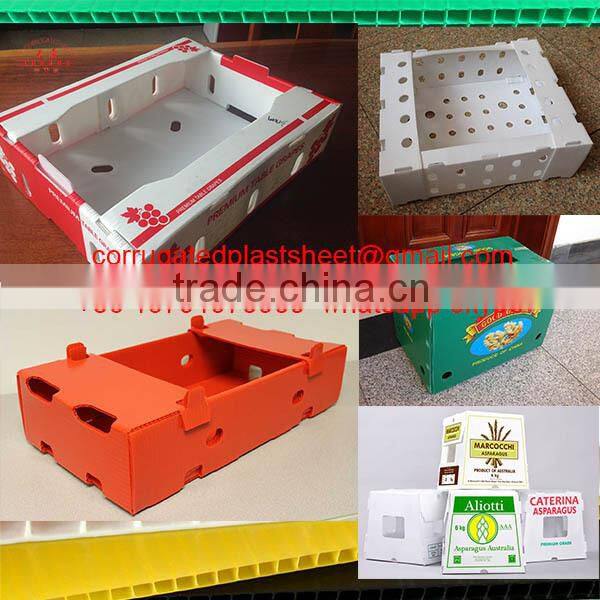 pp corrugated foldable plastic file box