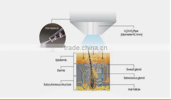 NL-SPA300 Diamond Microdermabrasion Machines For Reduction of Oily Skin and Skin Rejuvenation beauty machine for sale