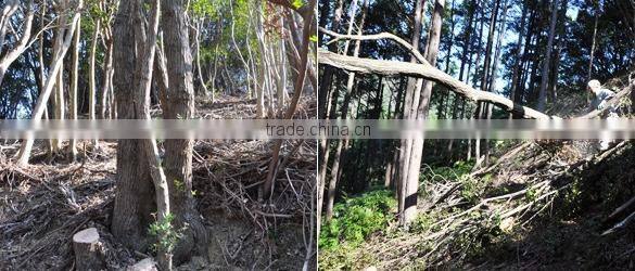 Handmade and Reliable Traditional Binchotan Charcoal(for BBQ) for cooking , small lot order available