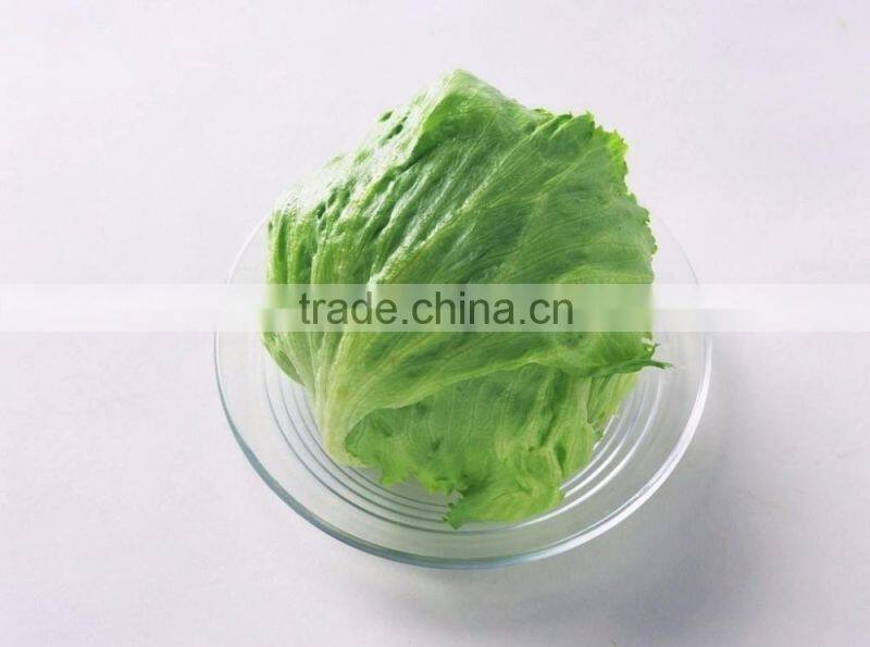 green lettuce for cooking