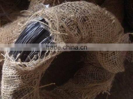 Buliding material galvanized wire / hot dipped galvanized iron wire with free samples
