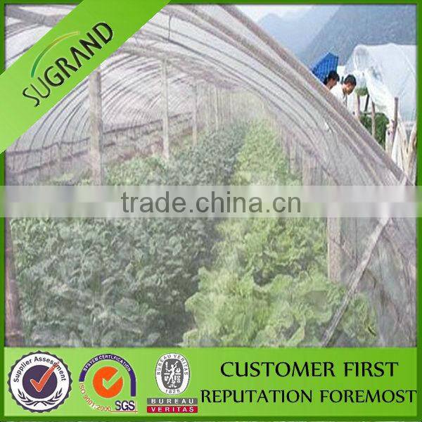 english bee net -high quality best sale!