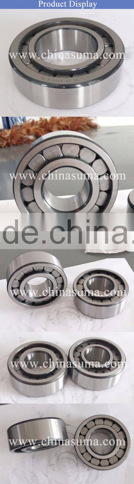 Single Row Full Complement Cylindrical Roller Bearing (SL18 SL19)