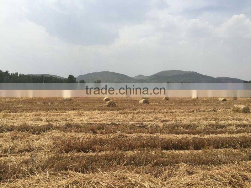 Walking type straw bundling machine 9YK-8070