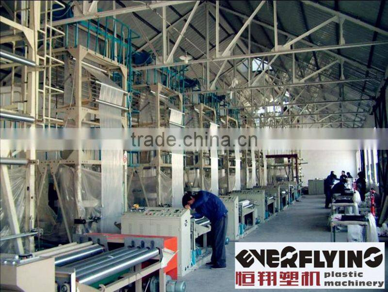 Hengxiang SS-DM1400 Twin Colors Film Series Blowing Machine Set