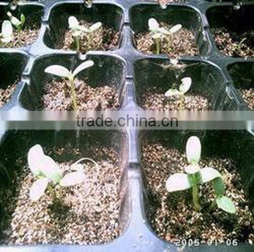 Factory in Zhejiang China Fast Delivery competitive price square seed tray