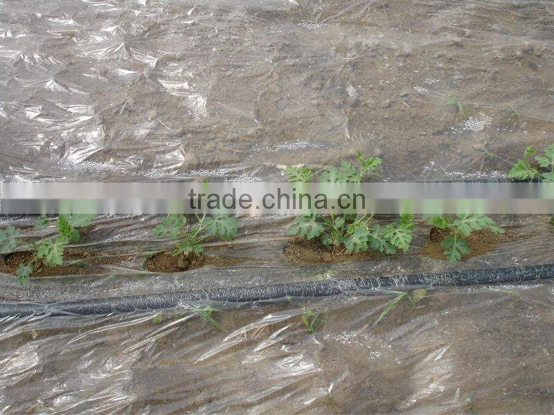 UV protect anti fog Transparent Co extruded PE Cover Film PE mulch film for watermelon greenhouse