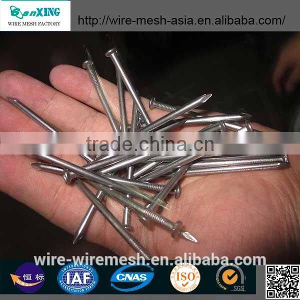 Polished Common Nail (Factory)