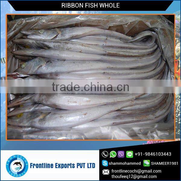 Frozen Fresh Ribbon Fish Whole