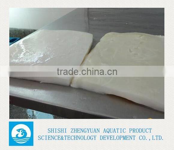 Frozen Giant Squid Meat