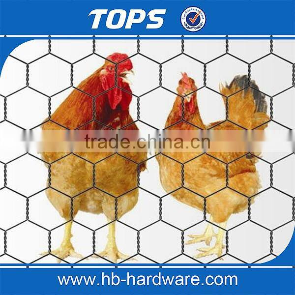 25mm mesh sizes 20gauge 900mm x 25mtrs roll Hexagonal wire mesh netting for chicken wire
