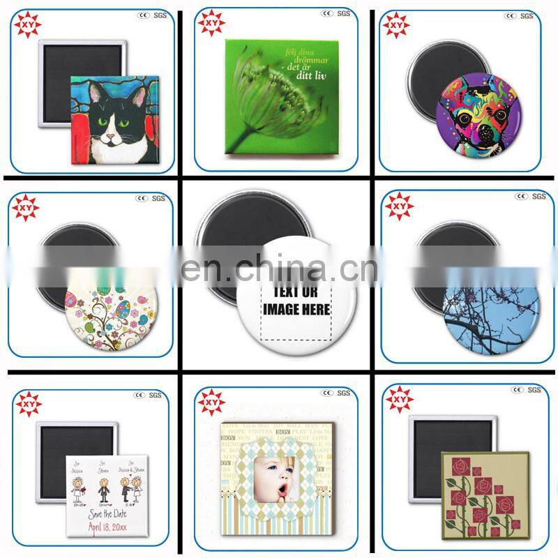 indian souvenir fridge magnet