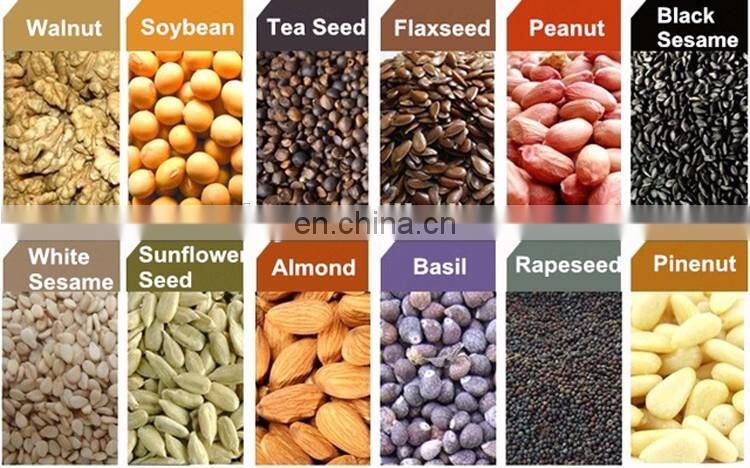 factory supply mango seed/baobab seed oil press machine