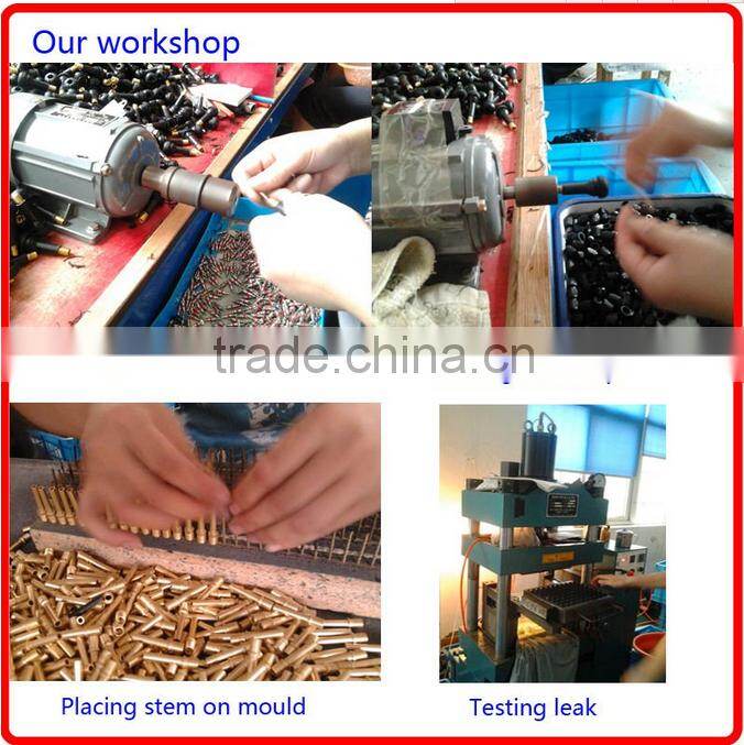 tire valve stem/tire valve for car