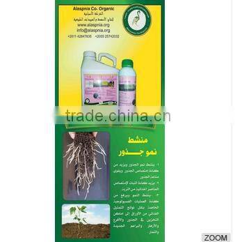 Natural Pesticide of Plant Origin to Eliminate Nematodes and Stimulate the Roots