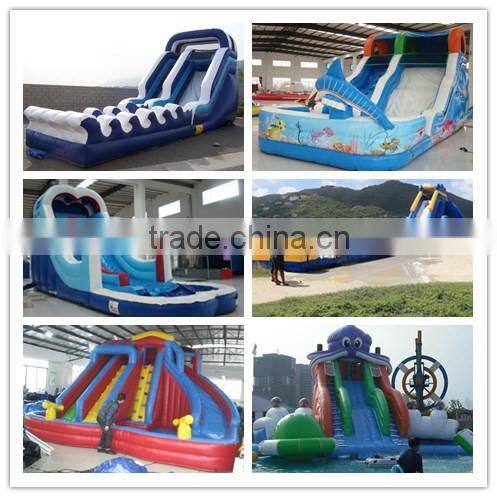 giant inflatable water slide / giant inflatable water slide for adult