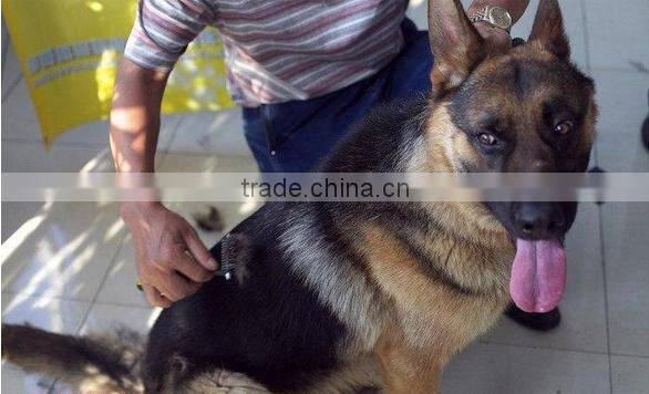 Double-sided DeShedding Tool For Small, Medium & Large Dogs/Cats With Short to Long Hair