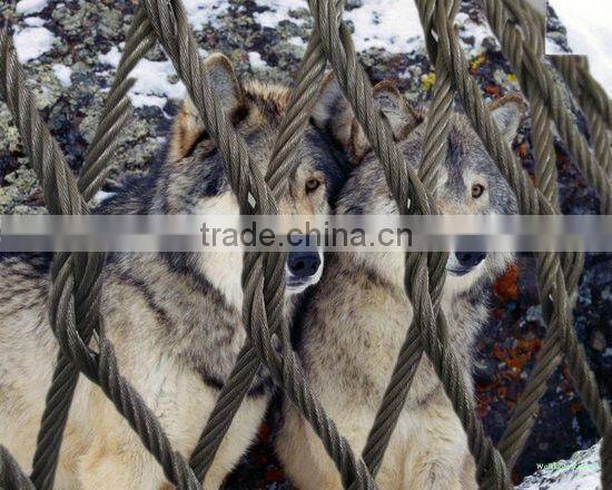 Cable Rope Metal Wire Mesh with Best Price with Lowest Price