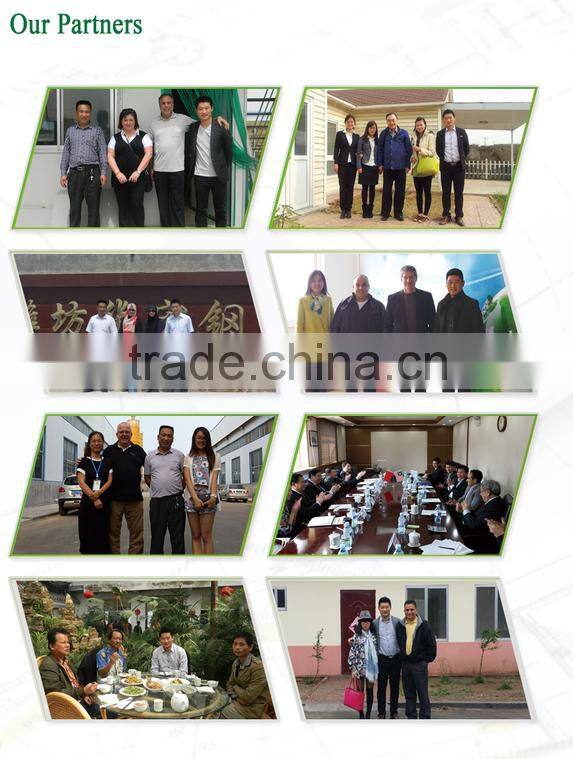 Fast Construction modular houses Cheap prefabricated steel building