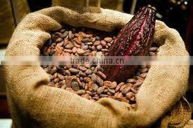 Indonesia Cocoa Bean