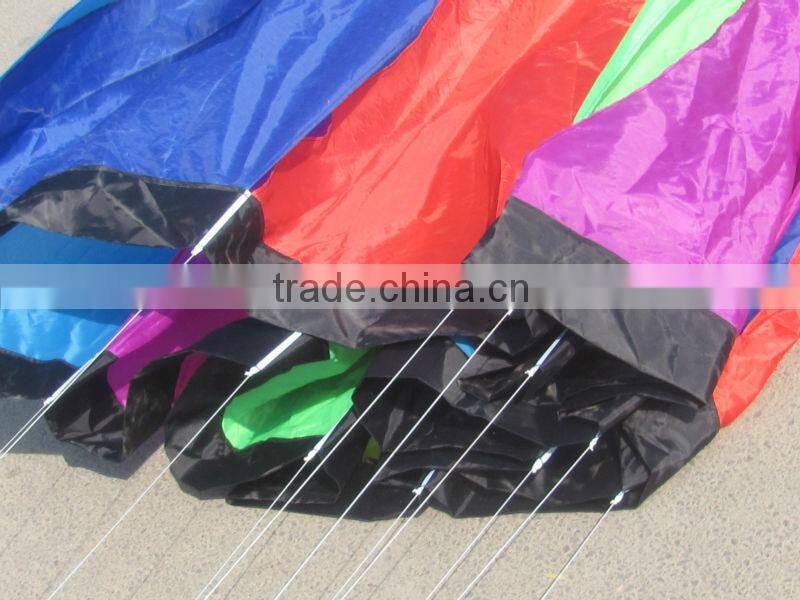large windsock kite
