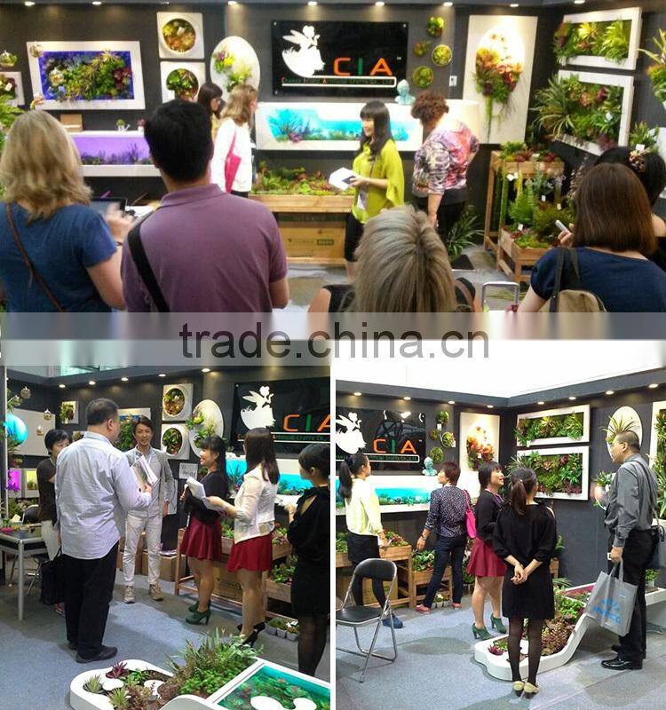 Artificial Framed Succulent Wall Art