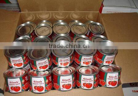 ketchup tomato sauce in pouches