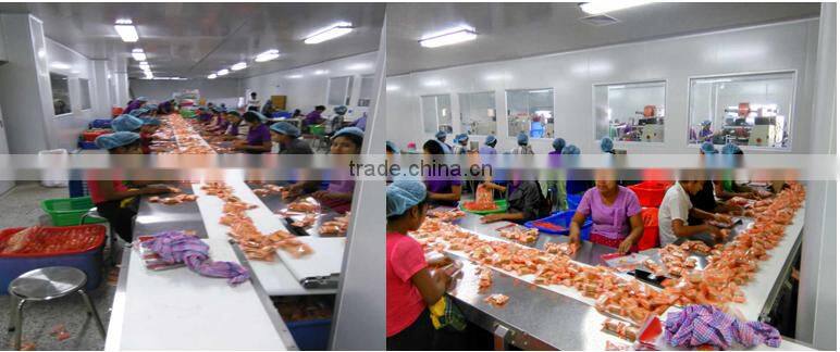 KH-RSJ-1000 full automatic swiss roll cake production line , layer cake machine