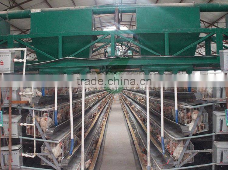 4 tier chicken layer battery cage for tanzania poultry farm house design