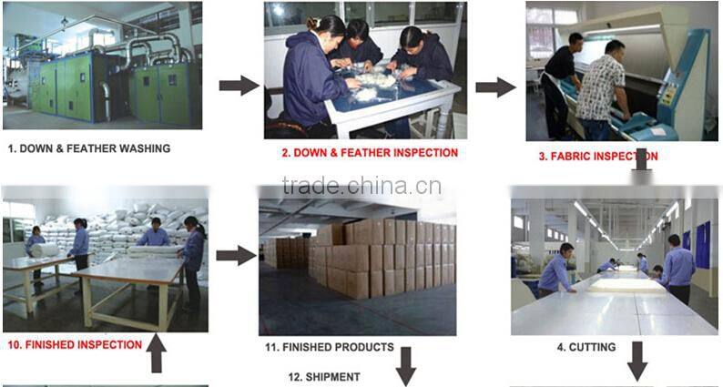 Made in China Hot Selling Wholesale Hotel Duck Down Goose Feather Pillow Inner