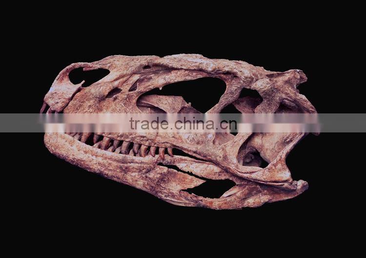 Simulation natural size dinosaur fossil