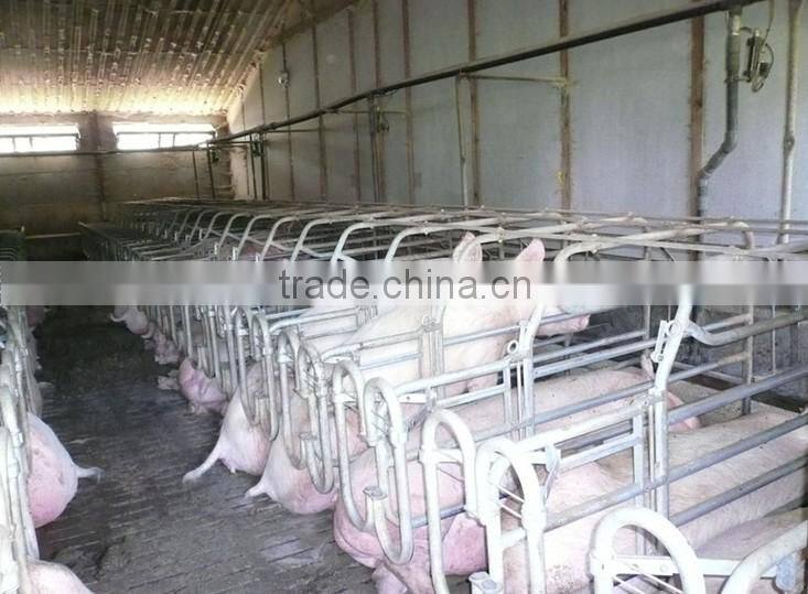 poultry layer farm design