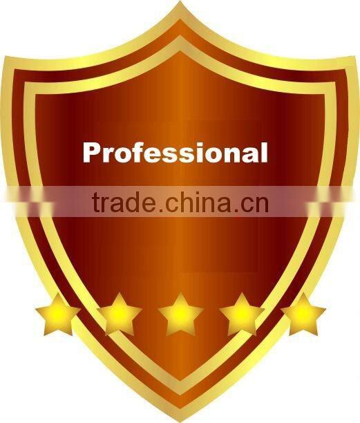 Fast dry Water proof Neutral silicone seal gum for water tank