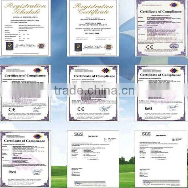 New design outdoor ip67 spot led spike for decoration